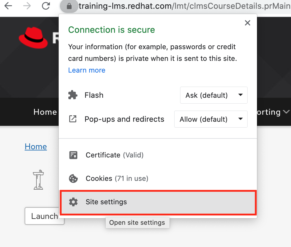 google javascript flash player google javascript flash player